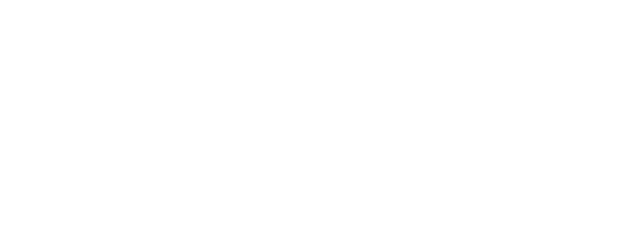Whiz Digital
